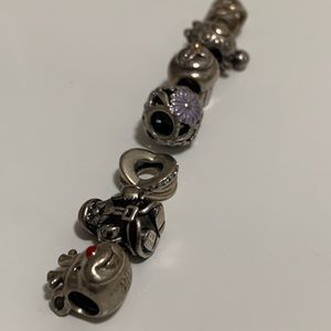 Pandora Charms